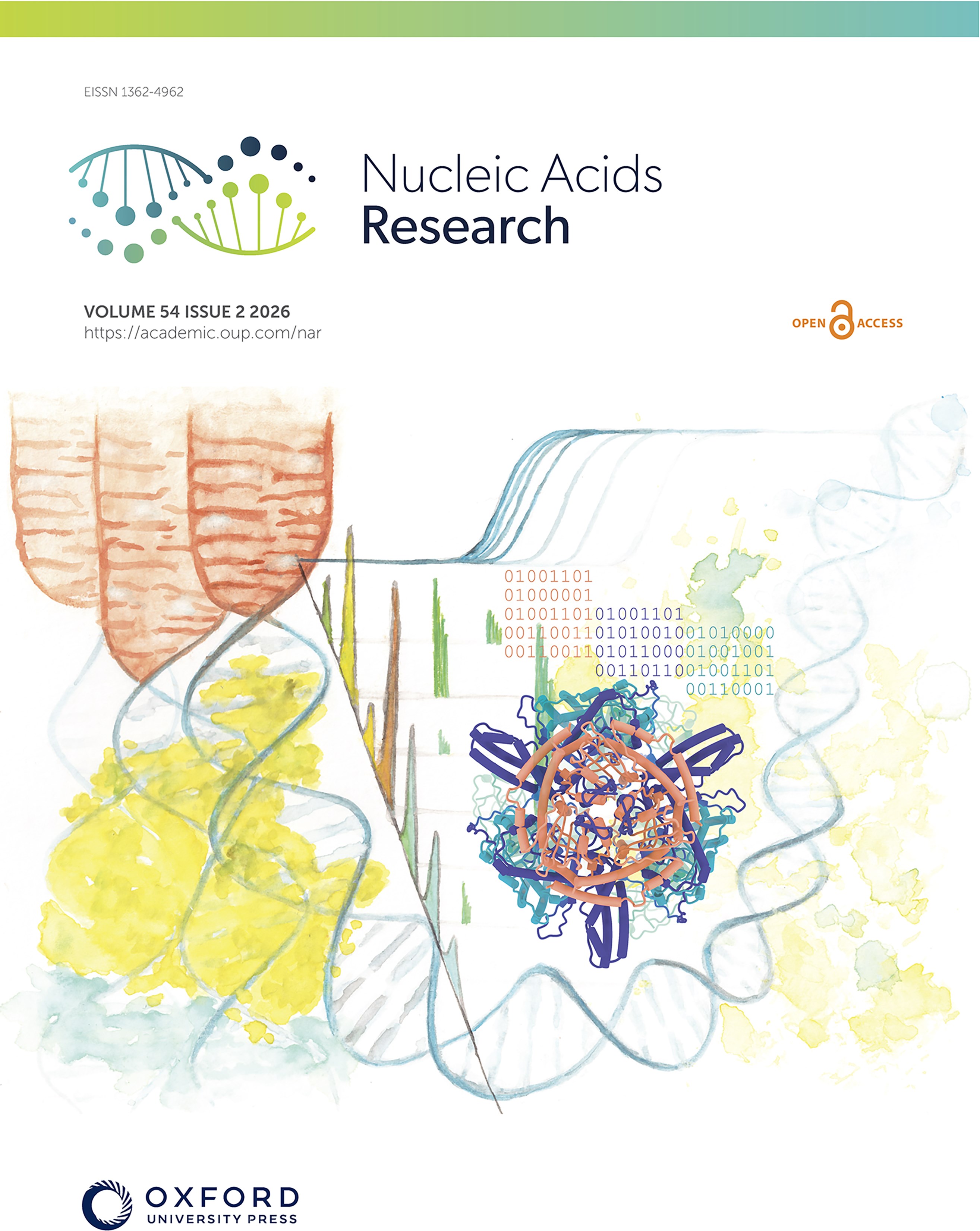 Cover image on Nucleic Acids Research created by Simon Schrott; Osman Lab