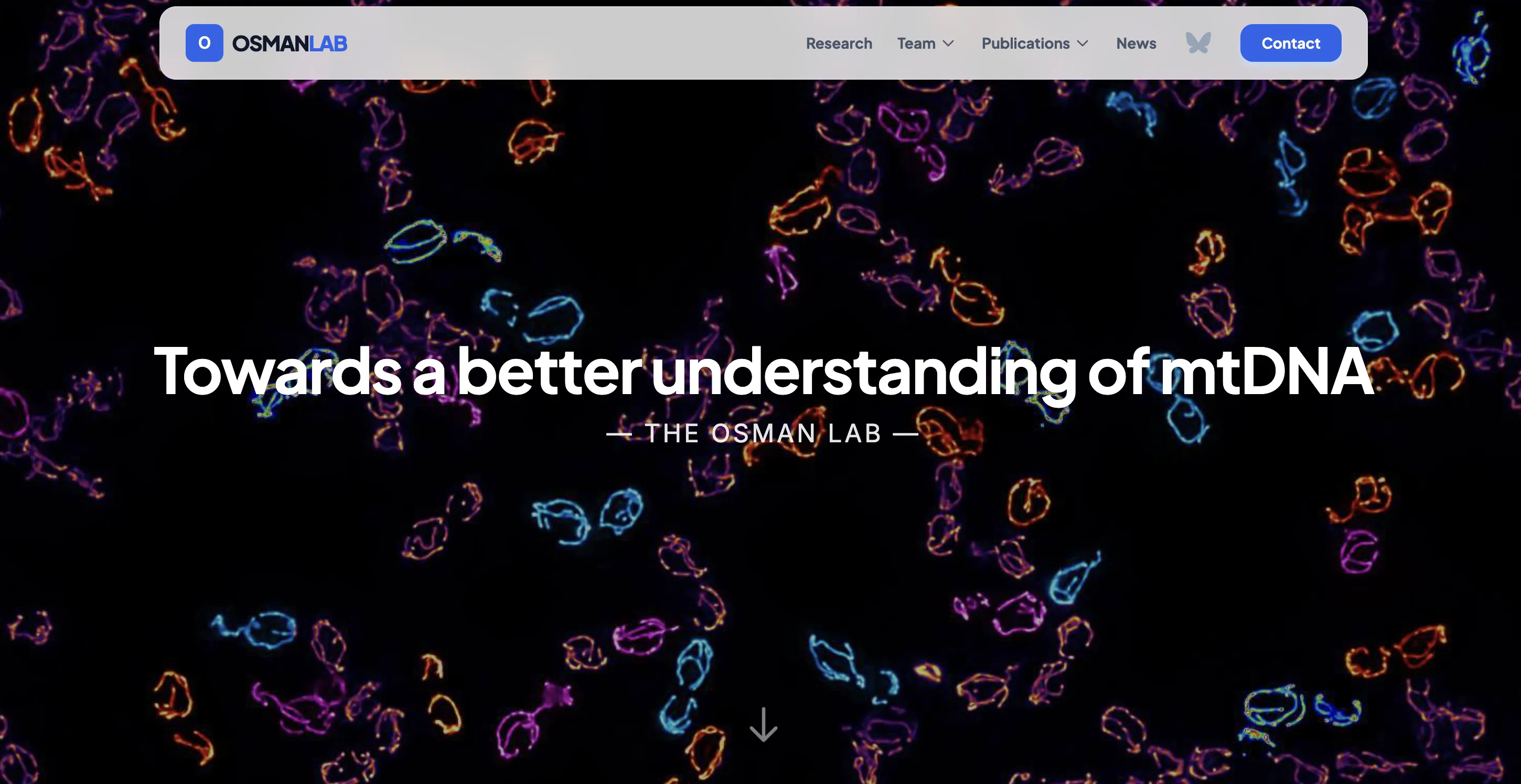 Image showing a screenshot of the new website of the Osman Lab. Showing mitochondria and mtDNA as a background image.