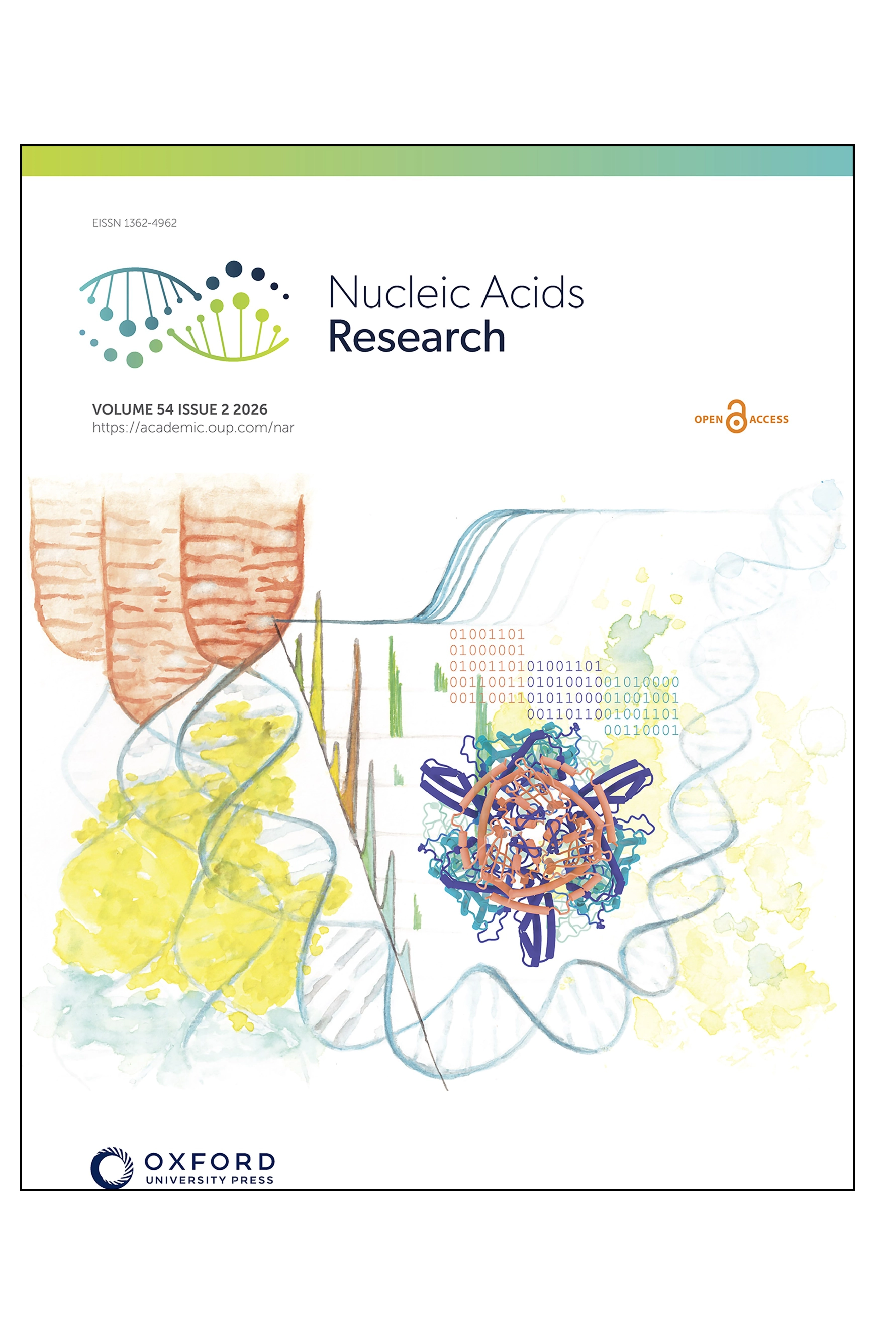 Cover image on Nucleic Acids Research created by Simon Schrott; Osman Lab